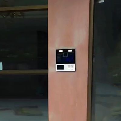 成功案例